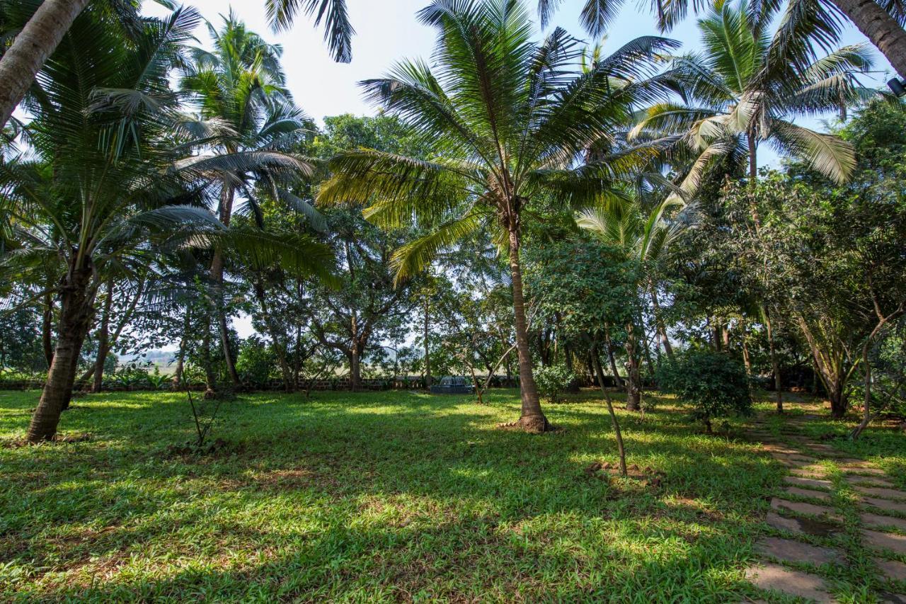 Rosastays South Goa Cavelossim Extérieur photo